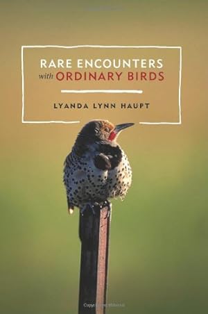 Bild des Verkufers fr Rare Encounters with Ordinary Birds by Haupt, Lyanda Lynn [Paperback ] zum Verkauf von booksXpress