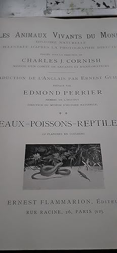 les animaux vivants du monde oiseaux poissons reptiles