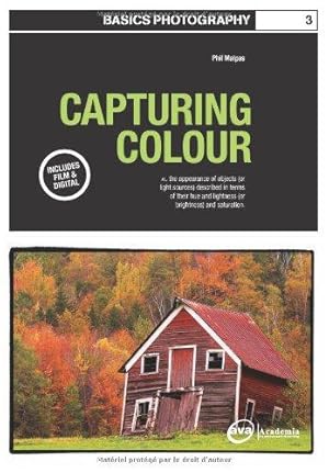 Imagen del vendedor de Basics Photography: Capturing Colour: 03 a la venta por WeBuyBooks