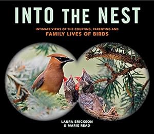 Seller image for Into the Nest: Intimate Views of the Courting, Parenting, and Family Lives of Familiar Birds by Erickson, Laura, Read, Marie [Paperback ] for sale by booksXpress