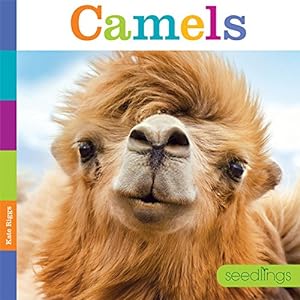 Immagine del venditore per Seedlings: Camels by Riggs, Kate [Paperback ] venduto da booksXpress
