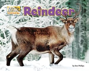 Bild des Verkufers fr Reindeer (Arctic Animals: Life Outside the Igloo) by Phillips, Dee [Paperback ] zum Verkauf von booksXpress