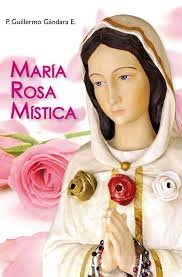 Seller image for Maria Rosa Mistica by P. Guillermo G??ndara E. (2014-05-04) for sale by Goodwill Industries of VSB