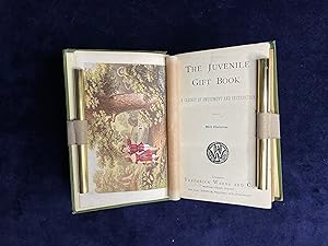 The Juvenile Gift Book. Cabinet of Amusement and Instruction.