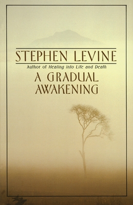 Imagen del vendedor de A Gradual Awakening (Paperback or Softback) a la venta por BargainBookStores