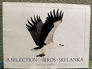 Image du vendeur pour A Selection of the Birds of Sri Lanka mis en vente par Crossroads Books