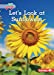 Seller image for Let's Look at Sunflowers (Plant Life Cycles (Pull Ahead Readers â Nonfiction)) [Soft Cover ] for sale by booksXpress