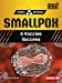 Seller image for Smallpox: A Vaccine Success (Deadly Diseases (UpDog Books â ¢)) [Soft Cover ] for sale by booksXpress