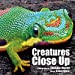 Seller image for Creatures Close Up [Soft Cover ] for sale by booksXpress