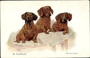 Künstler Ansichtskarte / Postkarte Denhardt, R., Die drei Dackel