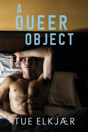 Seller image for A Queer Object by Elkj ¦r, Tue [Paperback ] for sale by booksXpress