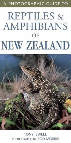 Seller image for Reptiles & Amphibians of New Zealand by jewell-tony [Paperback ] for sale by booksXpress