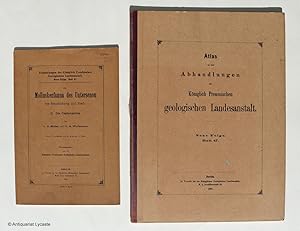 Die Molluskenfauna des Untersenon von Braunschweig und Ilsede - II. Die Cephalopoden. - 2 Bände: ...