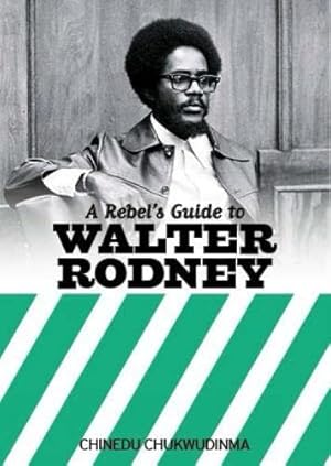 Seller image for A Rebel's Guide to Walter Rodney by Chinedu Chukwudinma [Paperback ] for sale by booksXpress