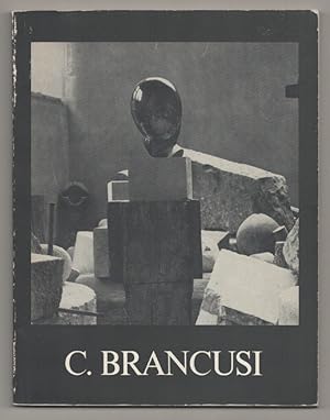 Imagen del vendedor de Constantin Brancusi Der Kunstler als Fotograf Seiner Skulptur: Eine Auswahl 1902 - 1943 a la venta por Jeff Hirsch Books, ABAA
