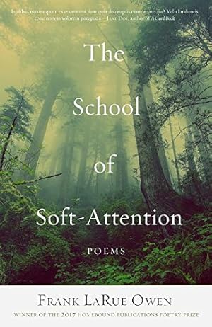 Imagen del vendedor de The School of Soft-Attention by Owen, Frank LaRue [Paperback ] a la venta por booksXpress