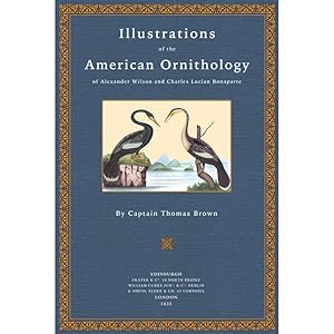 Bild des Verkufers fr Illustrations of the American Ornithology of Alexander Wilson and Charles Lucian Bonaparte With the addition of numerous recently discovered species and representations of the whole sylvae of North America zum Verkauf von Versandantiquariat Nussbaum