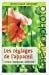 Seller image for Les r ©glages de l'appareil.Vitesse-Diaphragme-Exposition. [FRENCH LANGUAGE - Soft Cover ] for sale by booksXpress