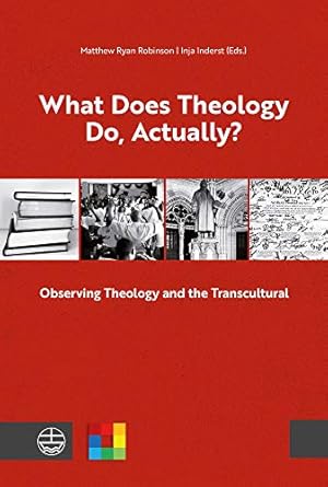 Seller image for What Does Theology Do, Actually?: Observing Theology and the Transcultural [Paperback ] for sale by booksXpress