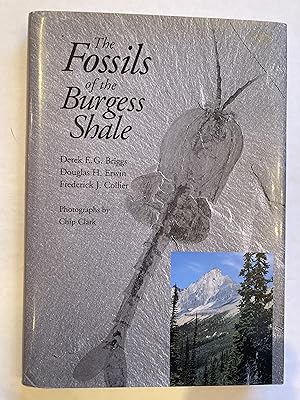 Seller image for THE FOSSILS OF THE BURGESS SHALE for sale by Paul Gritis Books