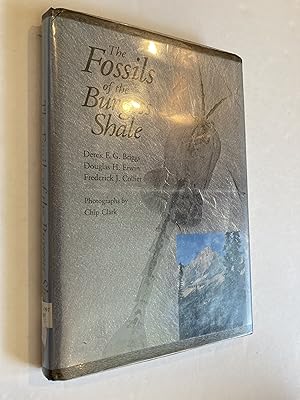 Seller image for THE FOSSILS OF THE BURGESS SHALE for sale by Paul Gritis Books