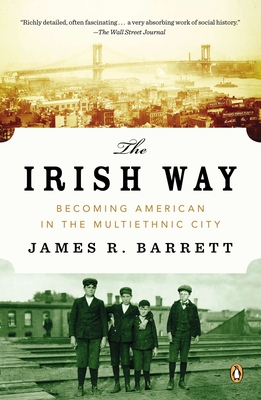 Seller image for The Irish Way: Becoming American in the Multiethnic City (Paperback or Softback) for sale by BargainBookStores