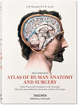 Image du vendeur pour Bourgery: Atlas of Human Anatomy and Surgery by Le Minor, Jean-Marie, Sick, Henri [Hardcover ] mis en vente par booksXpress