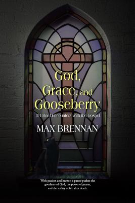 Imagen del vendedor de God, Grace, and Gooseberry: 101 Brief Encounters with the Gospel (Paperback or Softback) a la venta por BargainBookStores