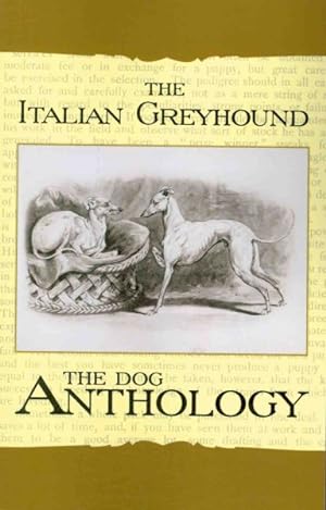 Bild des Verkufers fr Italian Greyhound zum Verkauf von GreatBookPrices
