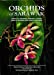 Image du vendeur pour Orchids of Sarawak [Hardcover ] mis en vente par booksXpress