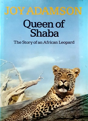 Queen Of Shaba: The Story Of An African Leopard