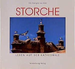 Seller image for Strche: Leben auf der Kathedrale for sale by Versandantiquariat Felix Mcke