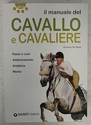 Cavallo e cavaliere