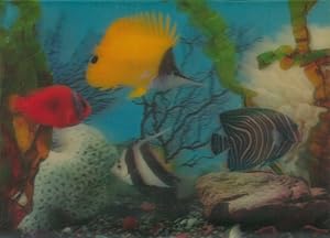 3-D Ansichtskarte / Postkarte Bunte Fische im Aquarium