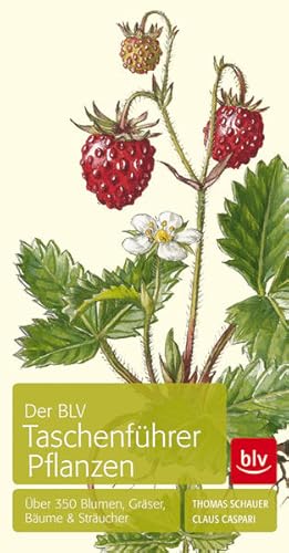 Der BLV-Taschenführer Pflanzen : über 350 Blumen, Gräser, Bäume & Sträucher Thomas Schauer ; Clau...