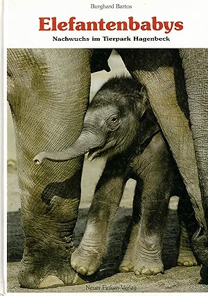 Seller image for Elefantenbabys. Nachwuchs im Tierpark Hagenbeck for sale by Paderbuch e.Kfm. Inh. Ralf R. Eichmann