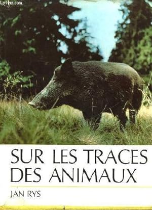 Bild des Verkufers fr Sur Les traces Des Animaux zum Verkauf von Ammareal