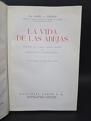 La Vida de las Abejas - Primera edición en español