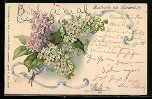 Bild des Verkufers fr Duft-Ansichtskarte Weisser und Rosafarbener Flieder mit Duft zum Verkauf von Bartko-Reher