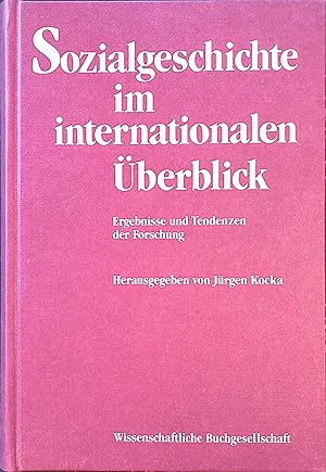 Bild des Verkufers fr Sozialgeschichte im internationalen berblick : Ergebnisse und Tendenzen der Forschung. zum Verkauf von books4less (Versandantiquariat Petra Gros GmbH & Co. KG)