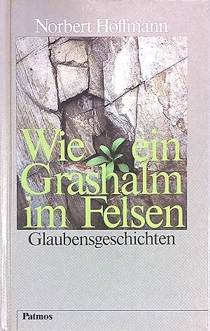 Imagen del vendedor de Wie ein Grashalm im Felsen : Glaubensgeschichten. a la venta por books4less (Versandantiquariat Petra Gros GmbH & Co. KG)