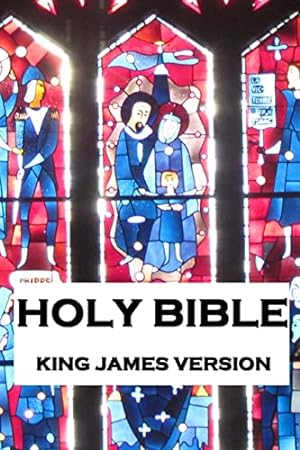 Bild des Verkufers fr Holy Bible zum Verkauf von WeBuyBooks 2