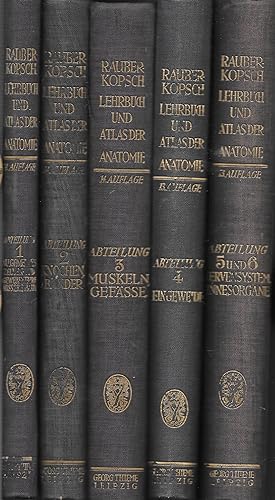 Lehrbuch und Atlas der Anatomie des Menschen in sechs Abteilungen