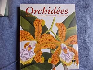 Orchidées de l'horticulture considérée comme un des beaux arts