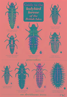 Imagen del vendedor de Guide to the Ladybird Larvae of the British Isles a la venta por moluna