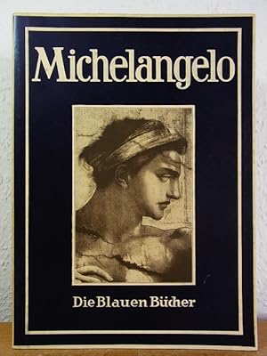 Bild des Verkufers fr Michelangelo. Die Blauen Bcher zum Verkauf von Antiquariat Weber