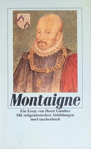 Seller image for Montaigne : ein Essay. Insel-Taschenbuch ; (Nr 1419) for sale by books4less (Versandantiquariat Petra Gros GmbH & Co. KG)
