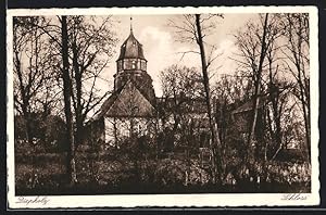 Bild des Verkufers fr Ansichtskarte Diepholz, Schloss hinter Bumen zum Verkauf von Bartko-Reher