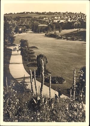 Ansichtskarte / Postkarte Stuttgart in Baden Württemberg, Königskerzenhang, Tal der Rosen, Reichs...