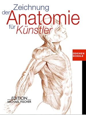 Imagen del vendedor de Zeichnung der Anatomie fr Knstler (Zeichenschule) a la venta por grunbu - kologisch & Express-Buchversand